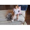 imageDearfoams Womens 2Piece Loosefit Set Matching Family Holiday Pajamas Soft ampamp ComfortableCelestial Girl