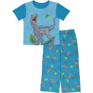 imageJurassic World Boys 2Piece Loosefit Pajama Set Soft ampamp Cute for KidsDino Blue