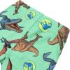imageJurassic World Boys 4Piece Snugfit Cotton Pajama Set Soft ampamp Cute for KidsThe Hunt